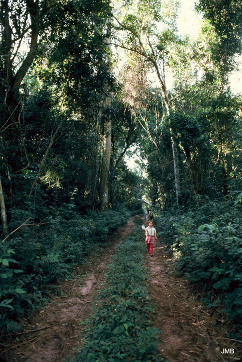 AÑO 1975 - COLOR - VIDA CAMPESINA EN PARAGUAY (JOSÉ MARÍA BLANCH)
